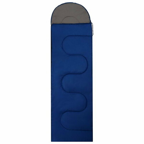 Спальник СП2 20035 x 75 см от 5 до 20 синий 2248₽