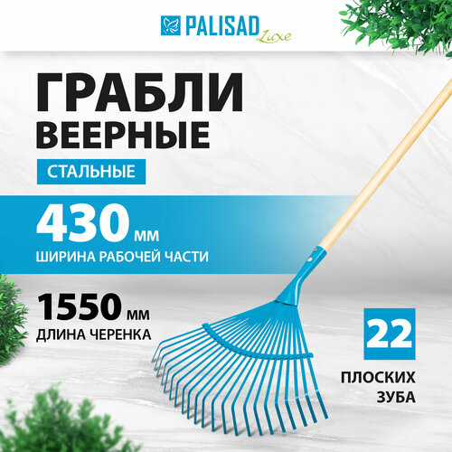 Грабли веерные PALISAD 617885 (155 см)