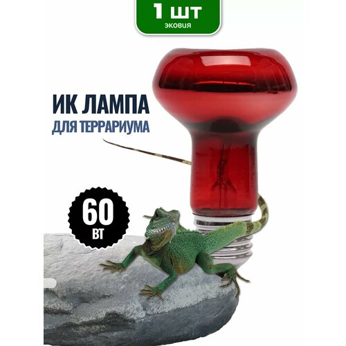 Лампа для террариума, рептилий