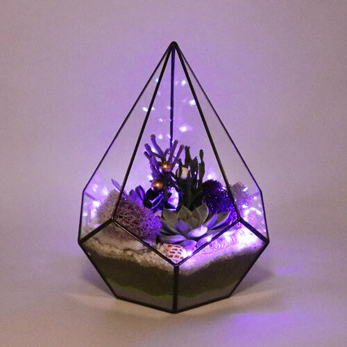 Флорариум с суккулентами и с гирляндой 