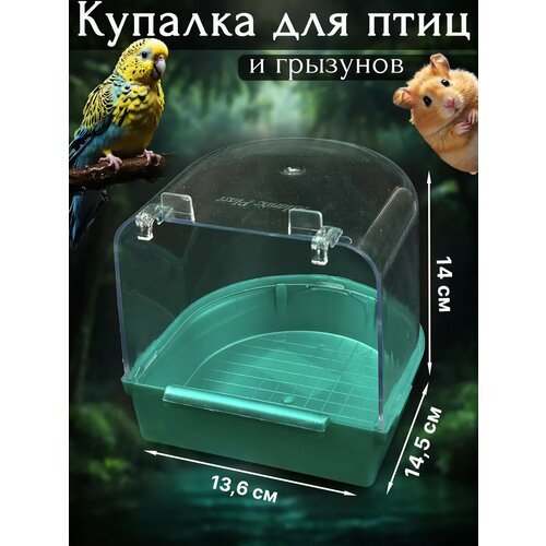 Купалка Vikki Zoo для грызунов и попугаев, бирюзовая, пластиковая, высота 14,5 см