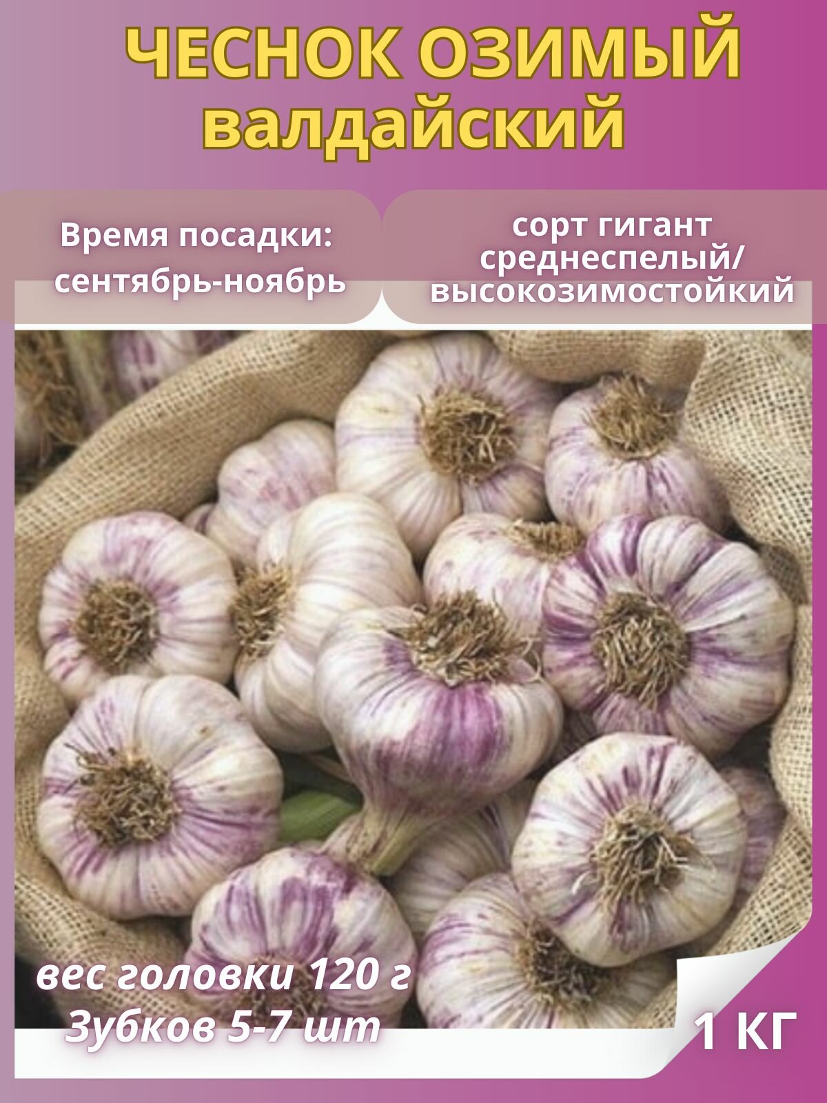 Чеснок на посадку Валдайский, озимый многолетний 1 кг