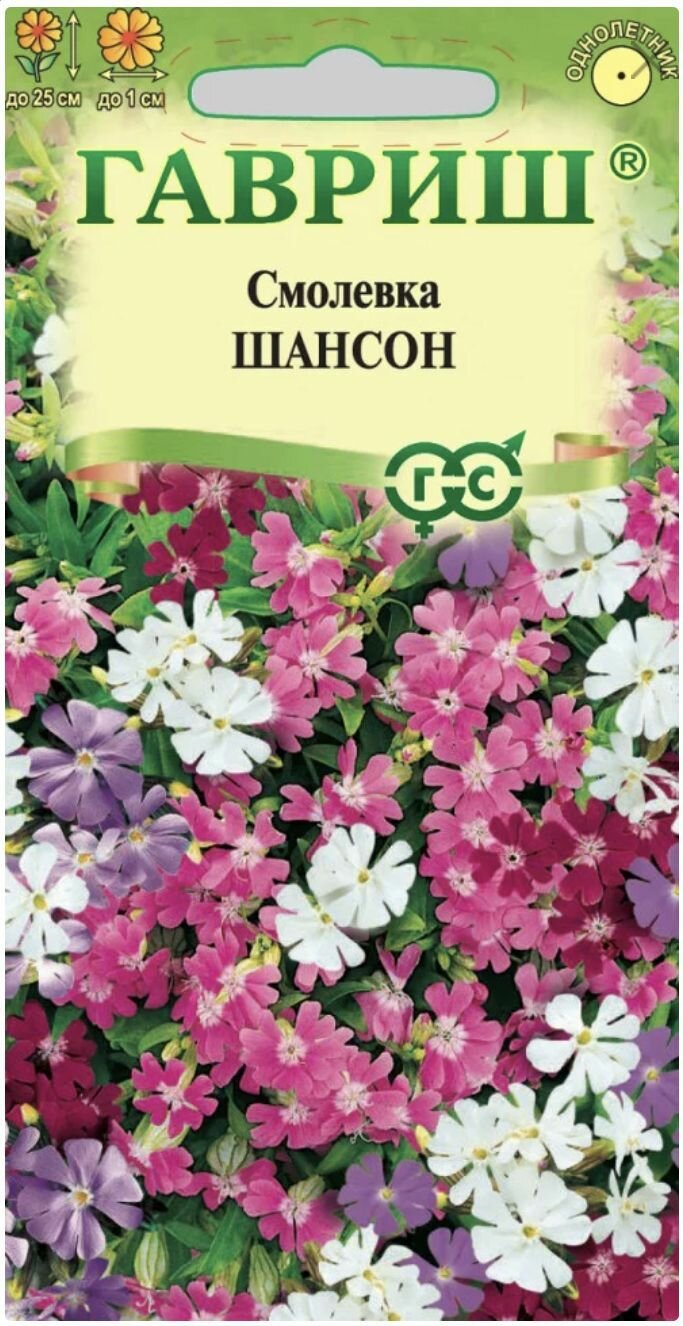 Смолевка Шансон 1 пакет семена 005 гр Гавриш