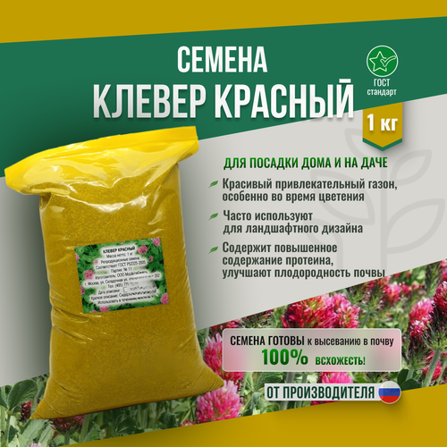 Семена Клевера Красного 1 кг Мосагрогрупп для посадки многолетний красный
