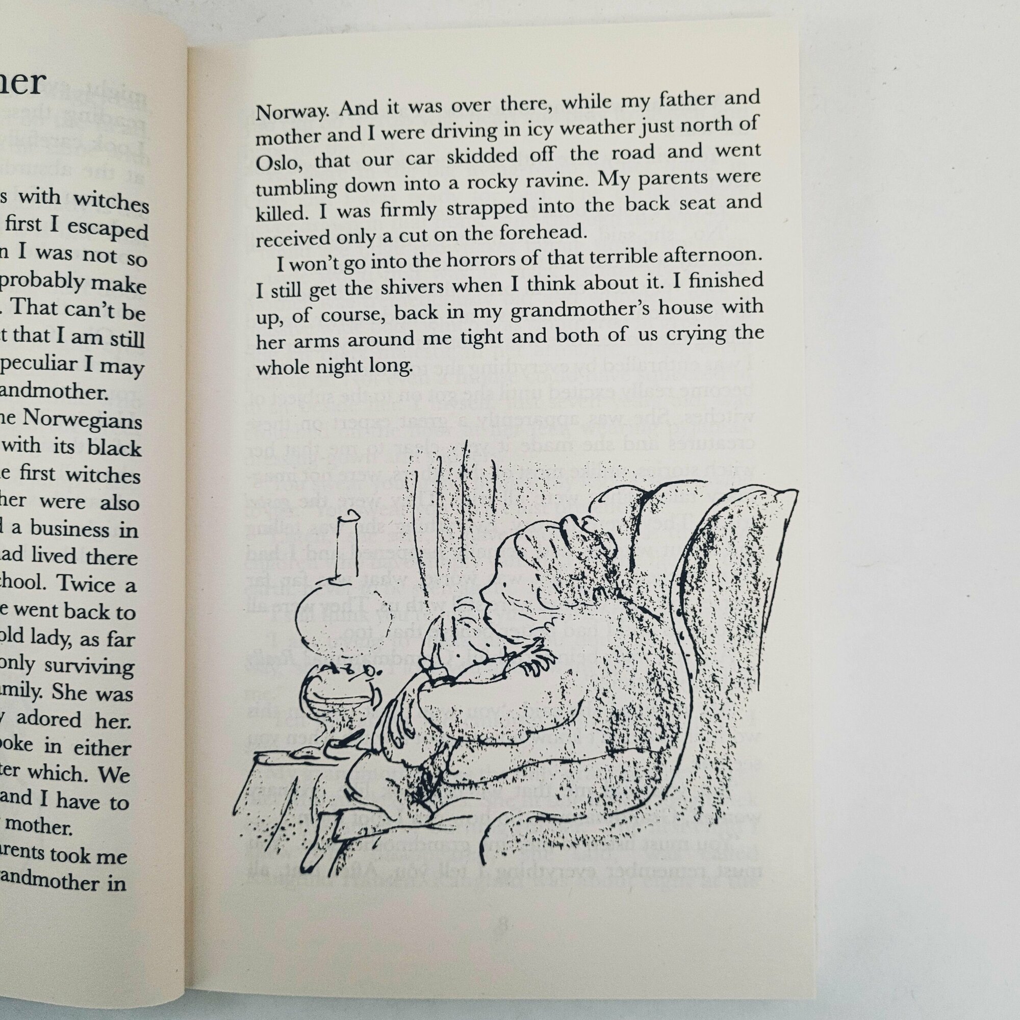 The Witches (Roald Dahl) - фото №10