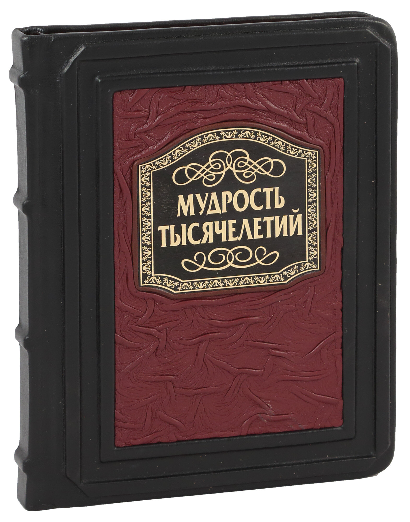 Мудрость тысячелетий (Подарочная книга в кожаном переплете)