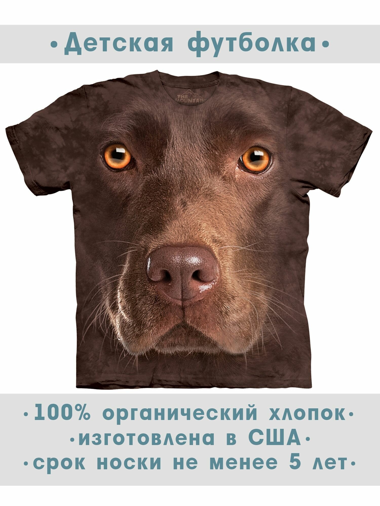 Футболка детская The Mountain "Chocolate Lab Face"