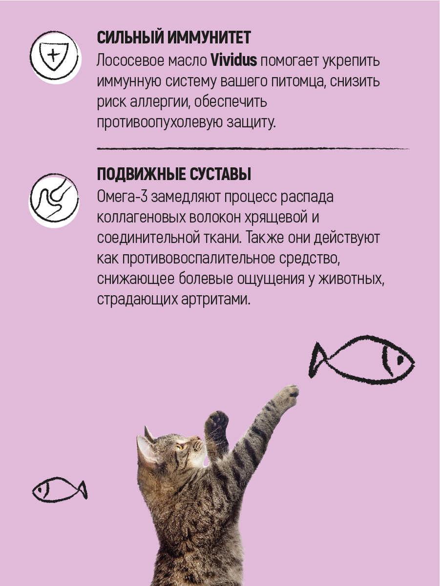 Salmon Oil 3л VIVIDUS - фото №6