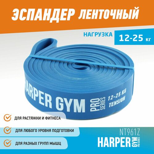 Резинка для фитнеса Harper Gym NT961Z (25) 208 х 2.9 см 25 кг голубой эспандер для фитнеса замкнутый start up ny 208 2 9 0 45 см нагрузка 12 25кг orange