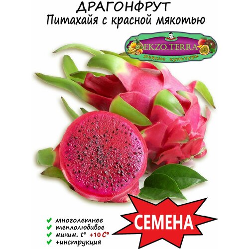 Семена Питахайя с Красной мякотью (Питайя, Драгонфрут) 10 шт.