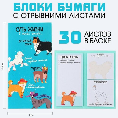 Блоки бумаги с отрывными листами Суть жизни 477₽
