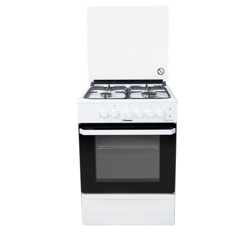 Газоэлектрическая плита Hansa FCMW 680231A 3009000₽