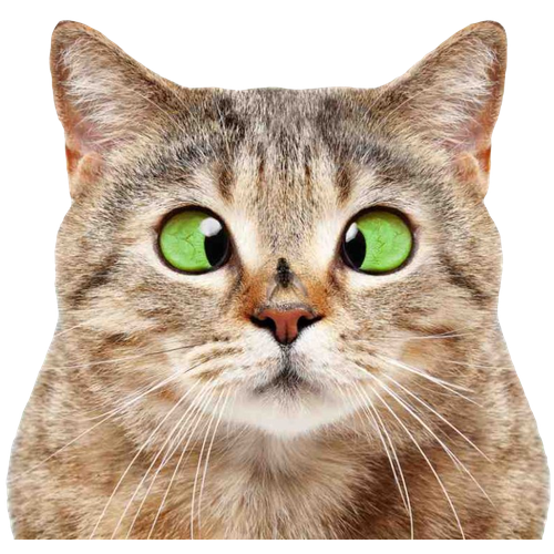 Термонаклейка на одежду - 9 х 9,5 см 