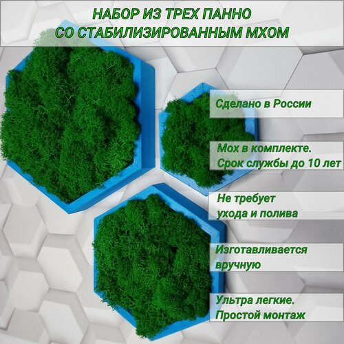 Панно - кашпо на стену со стабилизированным мхом , соты 10, 15, 20 см, голубые
