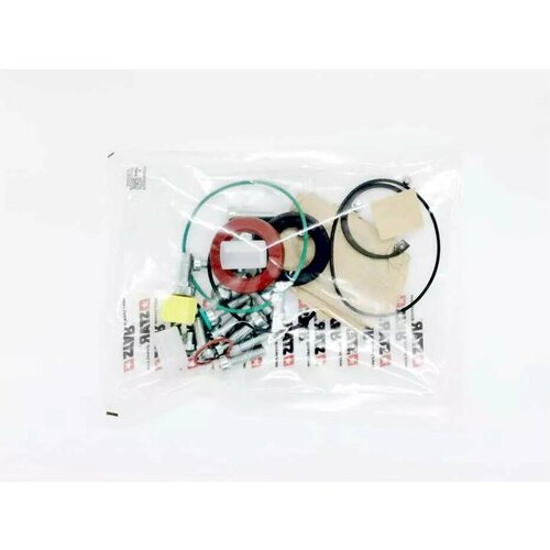 Ремкомплект ТНВД Delphi DFP3.4 (60139/14). Ремкомплект для Ford, Fiat.