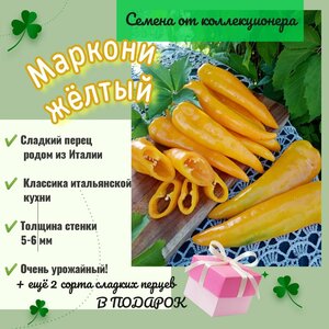 Перец сладкий "Маркони жёлтый", родом из Италии, редкий коллекционный сорт