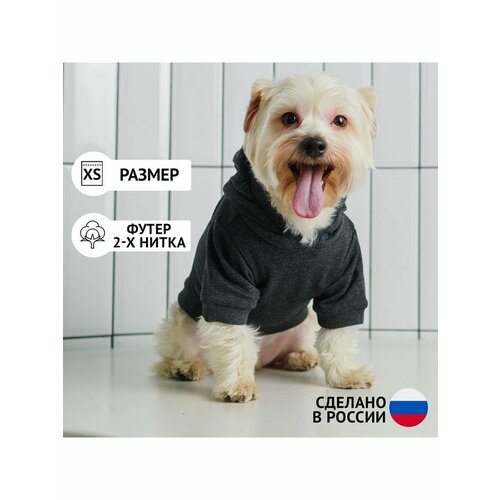 Толстовка однотонная для собак футер, размер XS ДС 18, ОШ 28