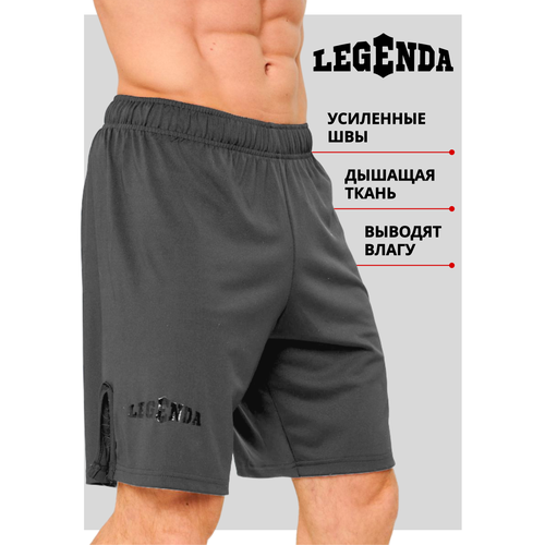 Шорты Legenda, размер M, серый компрессионные штаны тайтсы legenda urban черные m