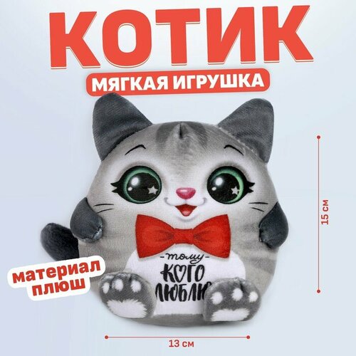 Мягкая игрушка Тому кого люблю, котик