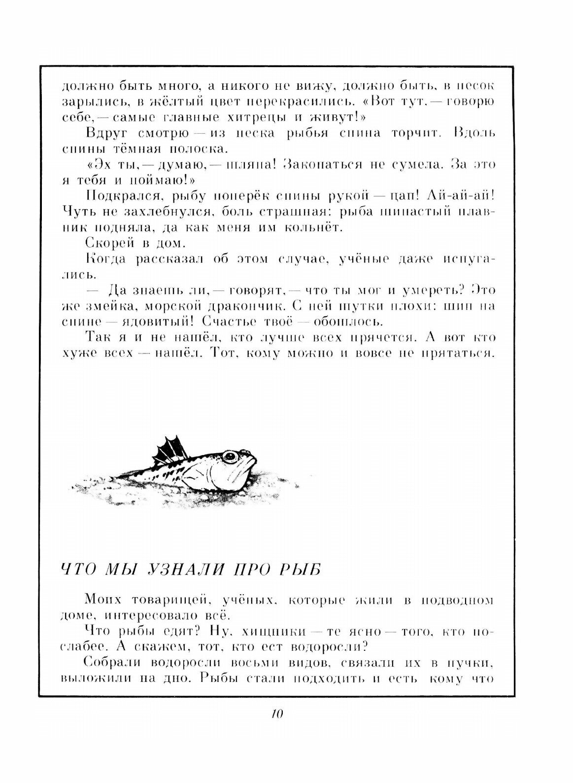 Книга В мире дельфина и осьминога - фото №10