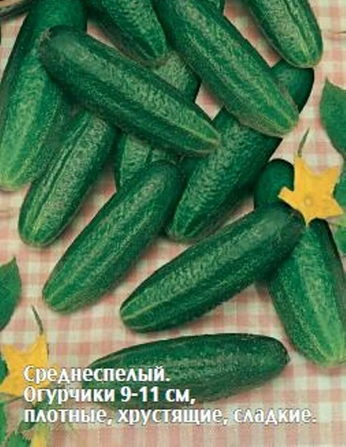 Коллекционные семена огурца F1 Ла Белла