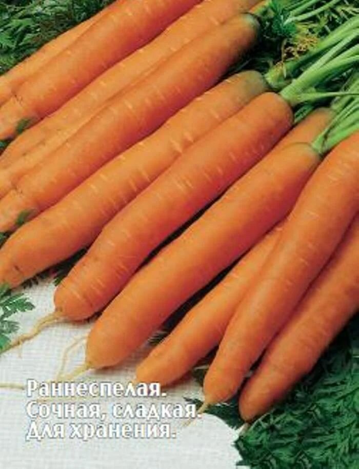 Коллекционные семена моркови Мускат