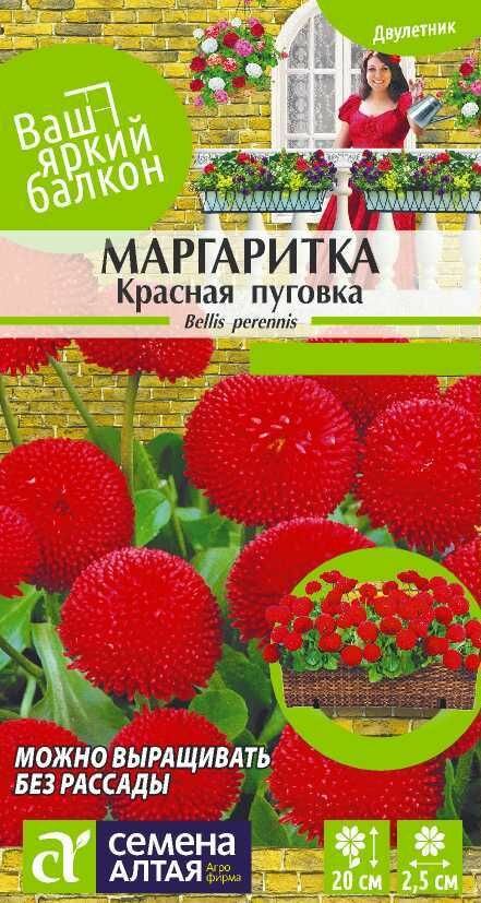 Маргаритка Красная Пуговка /Сем Алт/ 005 гр. х 1 упаковка/