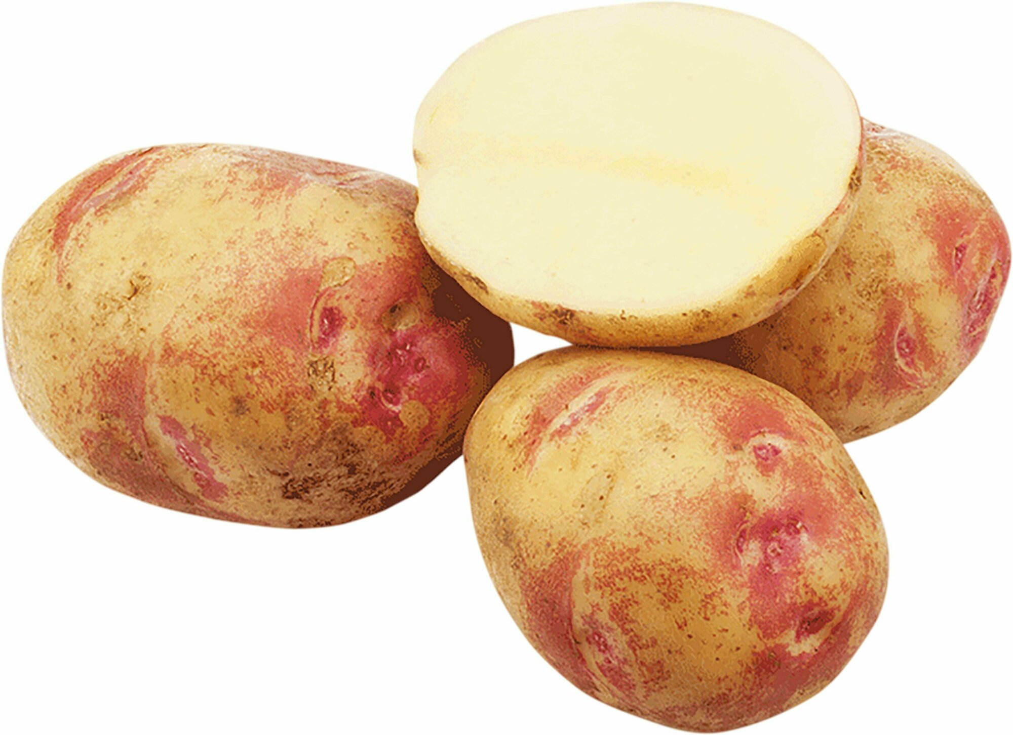 Картофель Пикассо, (БСК) Ботанические семена картофеля, позднеспелый, хорошо хранится сильно не разваривается, высокий урожай на 2 год, 25 семян