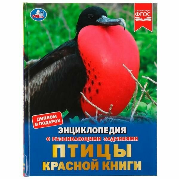 Птицы Красной книги