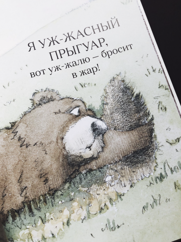 Джулия Дональдсон. Огромный Прыгуар - фото №7