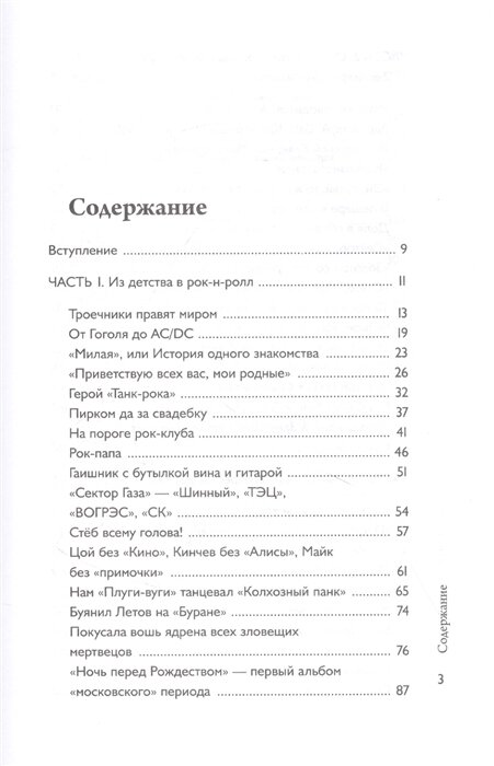 Хой! Опасный путь через туман (Богословский Роман Cергеевич; Клинских Ирина Юрьевна) - фото №2