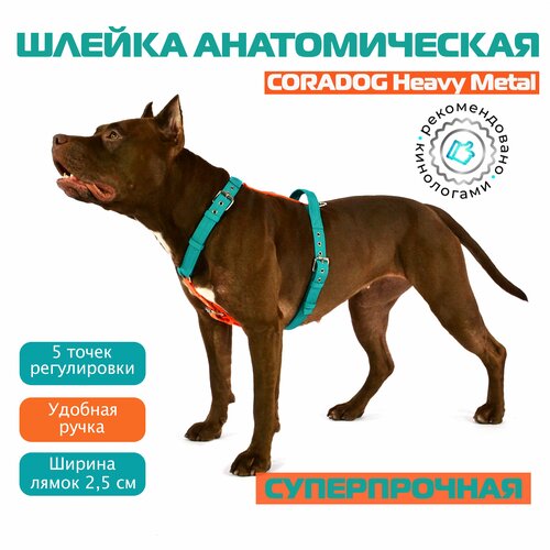 Шлейка для собак прогулочная анатомическая CORADOG Heavy Metal размер S цвет бирюзовый оранжевый 3500₽