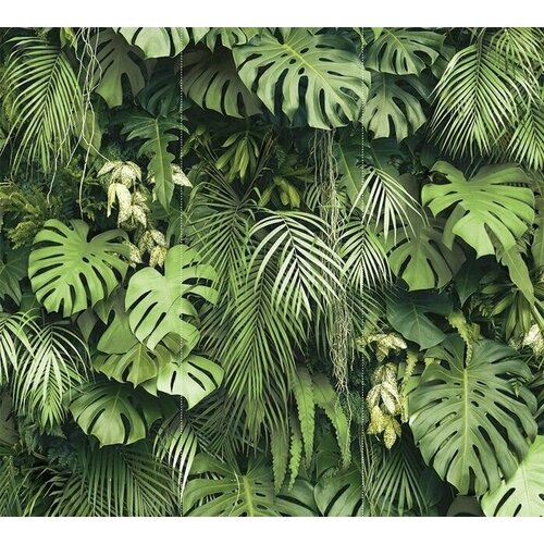 Фотообои Фитостена 2.0 3х2,7 a-23213401