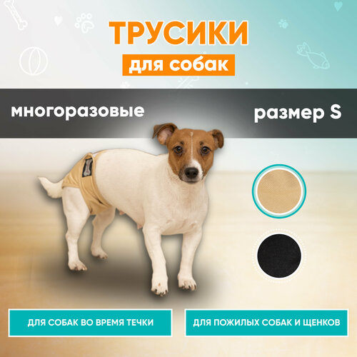 Трусы для собак во время течки многоразовые Mr Dog, подгузник для собак, памперс для собак, S