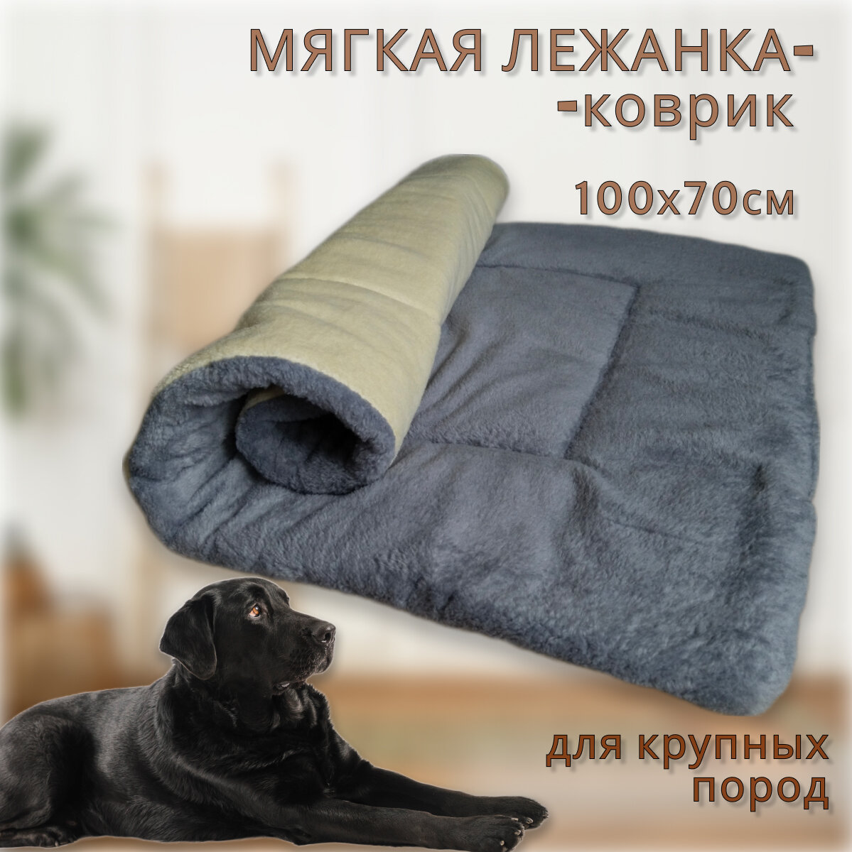 фото Лежанки