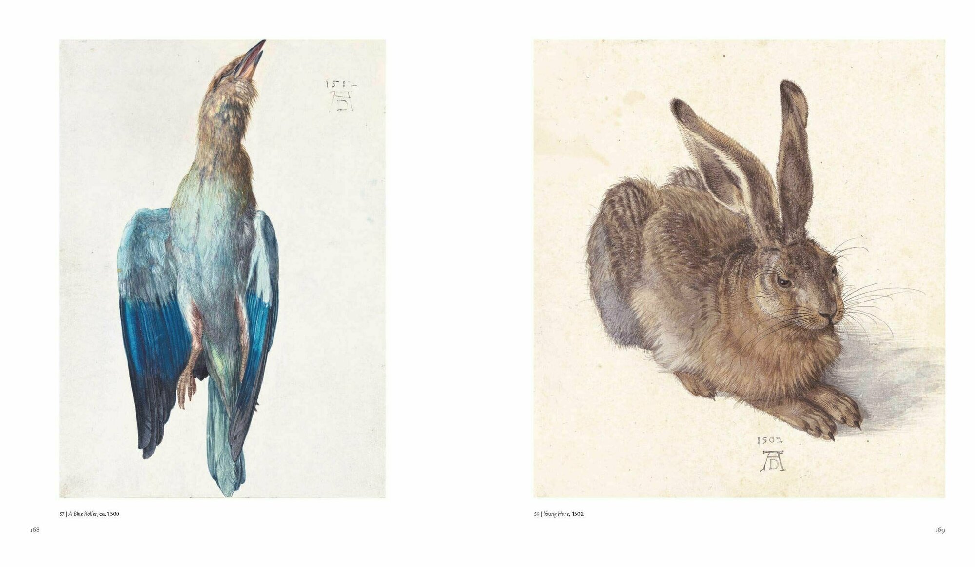 Albrecht Durer (Wolf Norbert) - фото №4