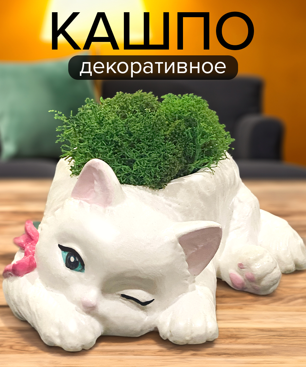 Кашпо для суккулентов "Котенок"