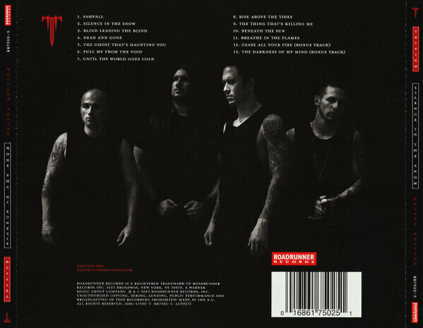 Silence In The Snow CD Медиа - фото №2