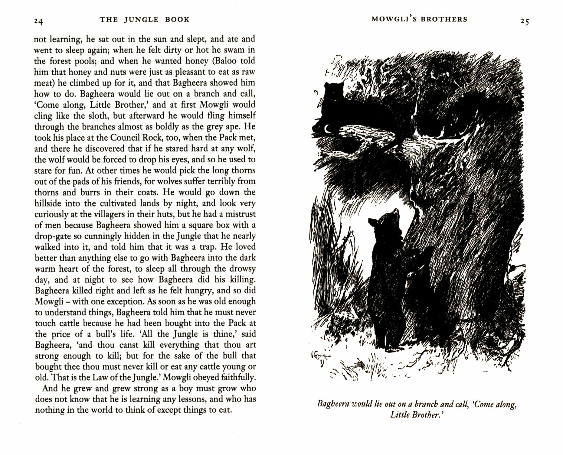 The Jungle Book: Including The Second Jungle Book - фото №3