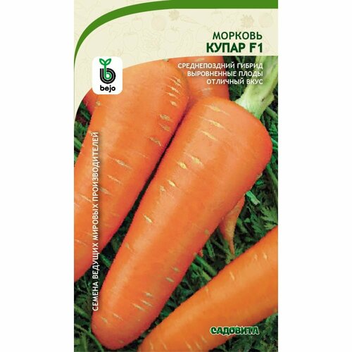 Семена садовита Морковь Купар F1 200 семечек 00156289 семена садовита морковь маэстро f1 200 семечек 00193041