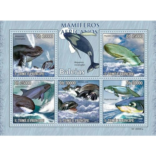 Почтовые марки Сан-Томе и Принсипи 2010г. Фауна - Киты Африки Киты, Морская фауна MNH коморы киты морская фауна 2009 почтовые марки лист блок