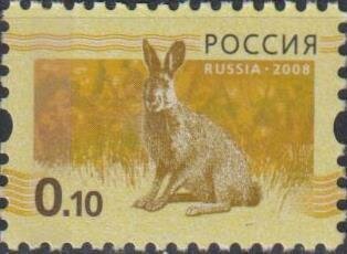 Почтовые марки Россия 2008г. "Заяц" Фауна MNH
