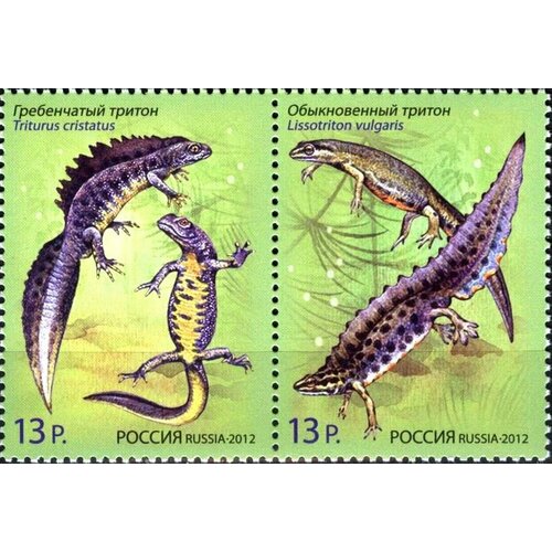 Почтовые марки Россия 2012г. Фауна. Тритоны Фауна MNH почтовые марки туркменистан 2021г туркменская фауна фауна mnh