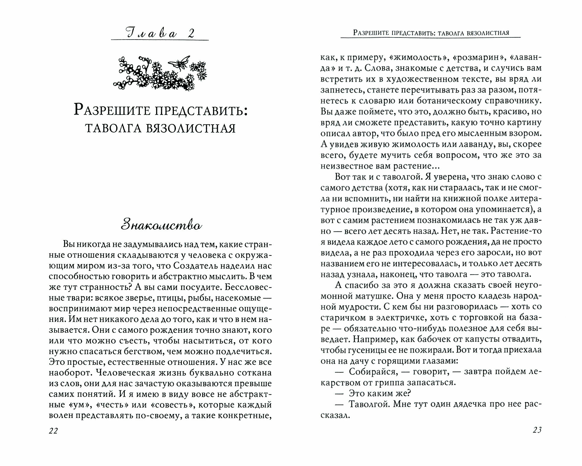 Таволга: проверенное средство от простуды и гриппа - фото №2