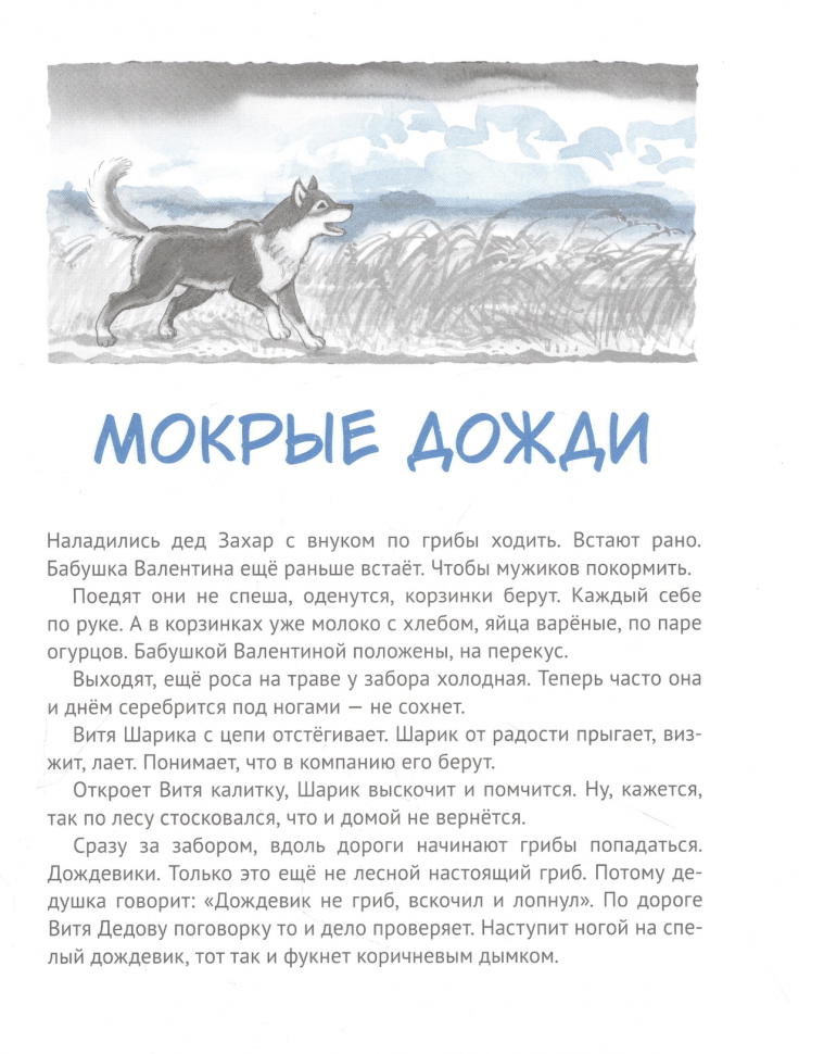Дедушкины дождики. Маленькая повесть в рассказах про мальчика Витю, его дедушку и про деревню - фото №2