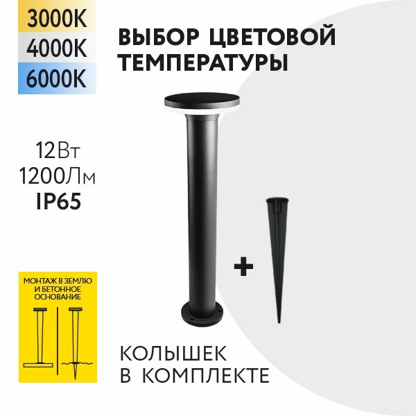 Уличный наземный светильник Foton Lighting 12Вт 230В Высота 300мм Сменная температура свечения 3000К/4000К/6000К Крепление в грунт-колышек IP65 Черный металл. (ECO30). Архитектурный, садово-парковый светильник