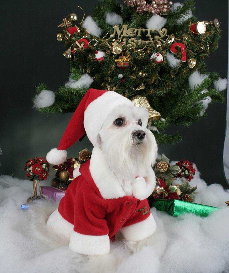 Куртка для собак с капюшоном новогодняя PUPPIA "Santa", красная, 4L, 55см (Южная Корея)