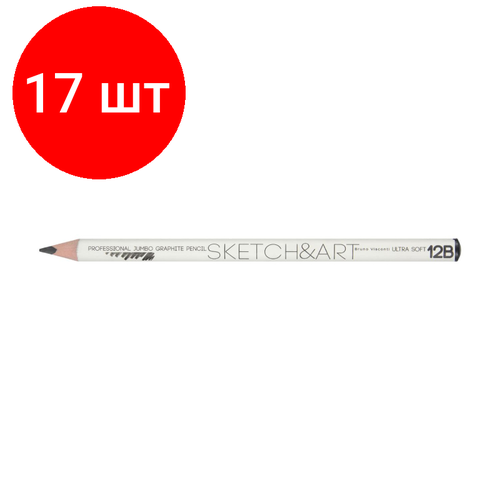 Комплект 17 штук, Карандаш чернографитный SKETCH&ART 12В, 4мм 21-0064/08