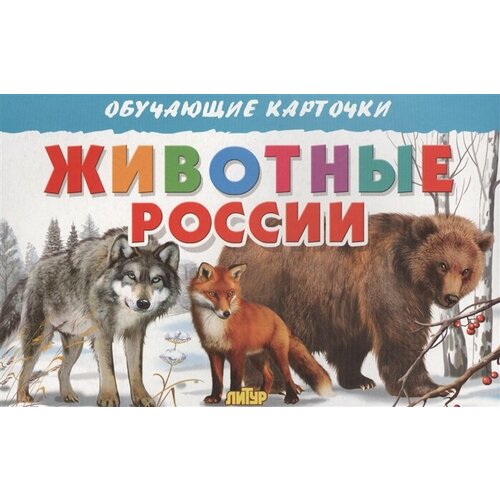 Обучающие карточки. Животные России богуславская м худ обучающие карточки животные россии