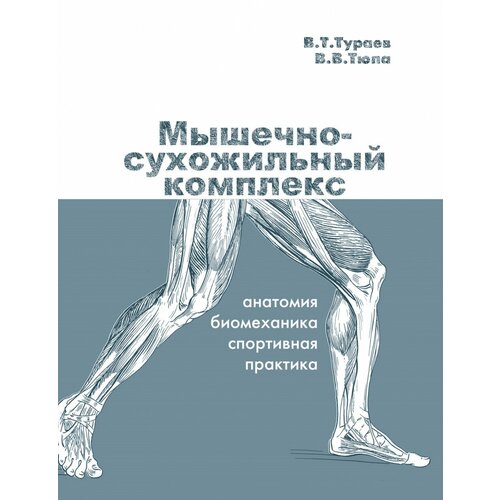 Мышечно-сухожильный комплекс: анатомия, биомеханика, спортивная практика